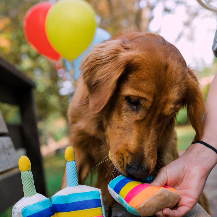 In Vogue Pets – wholesale Pet plush toy – Dog – Party Time Bone-Appetit Cake Plush Dog Toy4