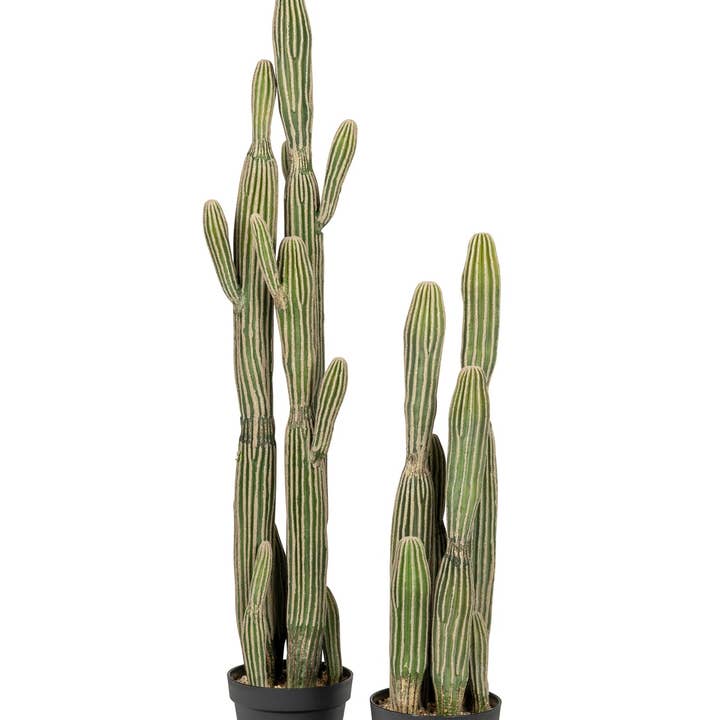 Cereus Cactus Plant-UV Treated for wholesale by Replica Plants and Decor