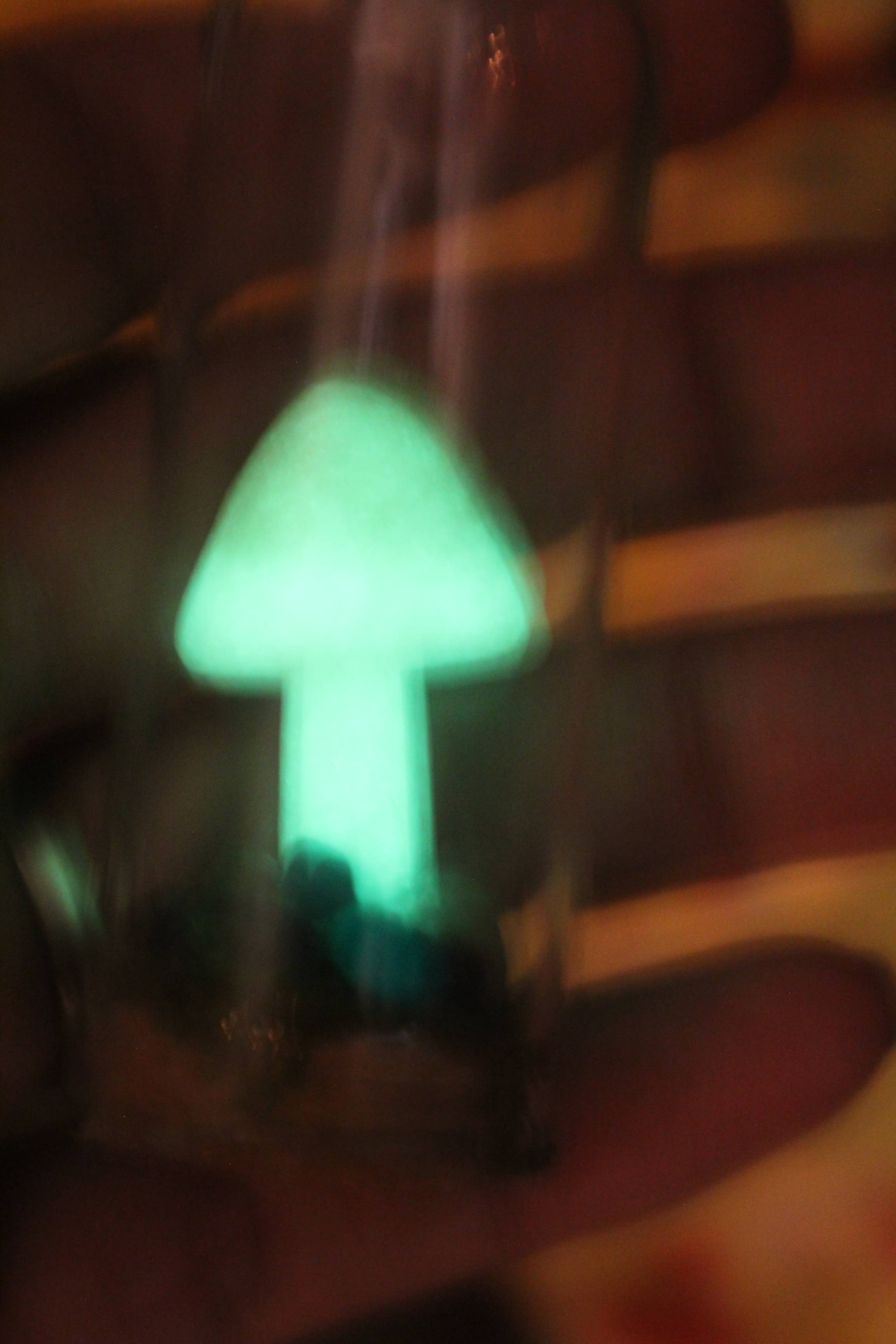 Raven Design - Wholesale Terrarium - Mushroom Terrarium Glows in the Dark!5