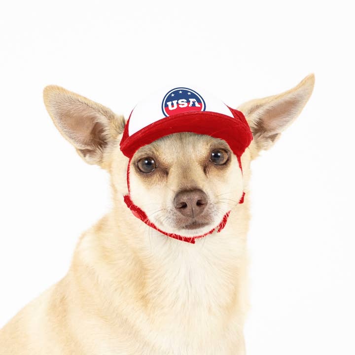PupLid – wholesale Hatt - Hund – USA Stars Design l Truckerhatt för hundar22