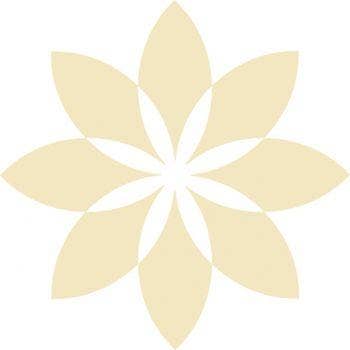 Ronnefeldt - Wholesale Tea Bags - Leafcup® Ayurveda Herbs & Ginger1