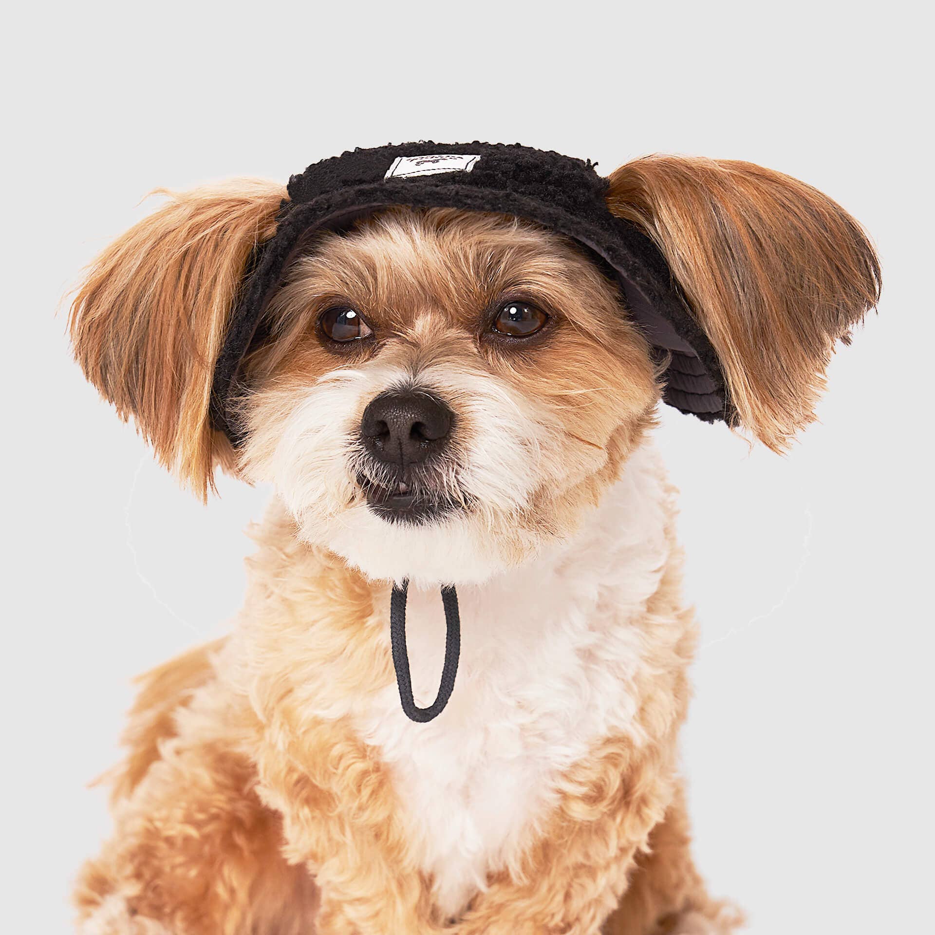 Canada Pooch – Großhandel Haustiermütze – Hund – Cool Factor Bucket Hat- Hundemütze7