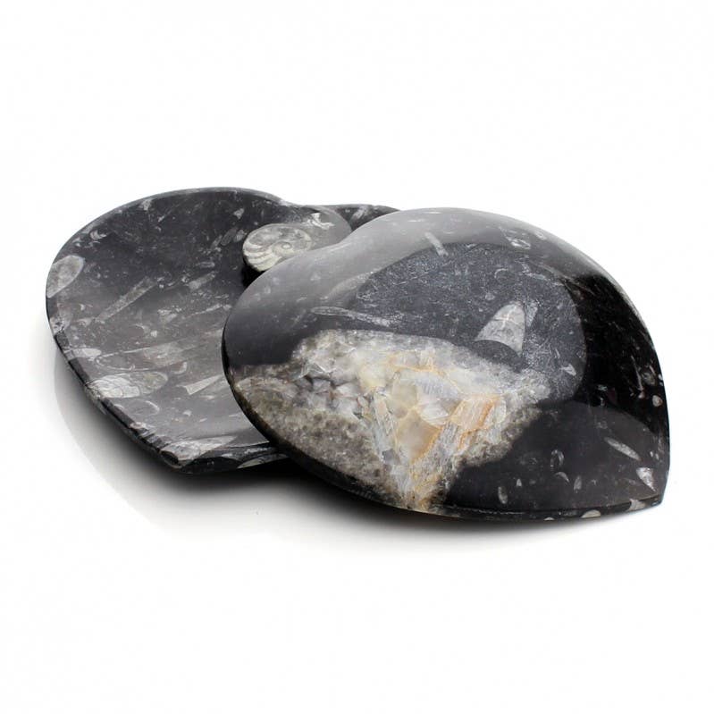 UniArt - Vente Objets de décoration - Assiettes décoratives avec ammonites et orthoceras authentiques12