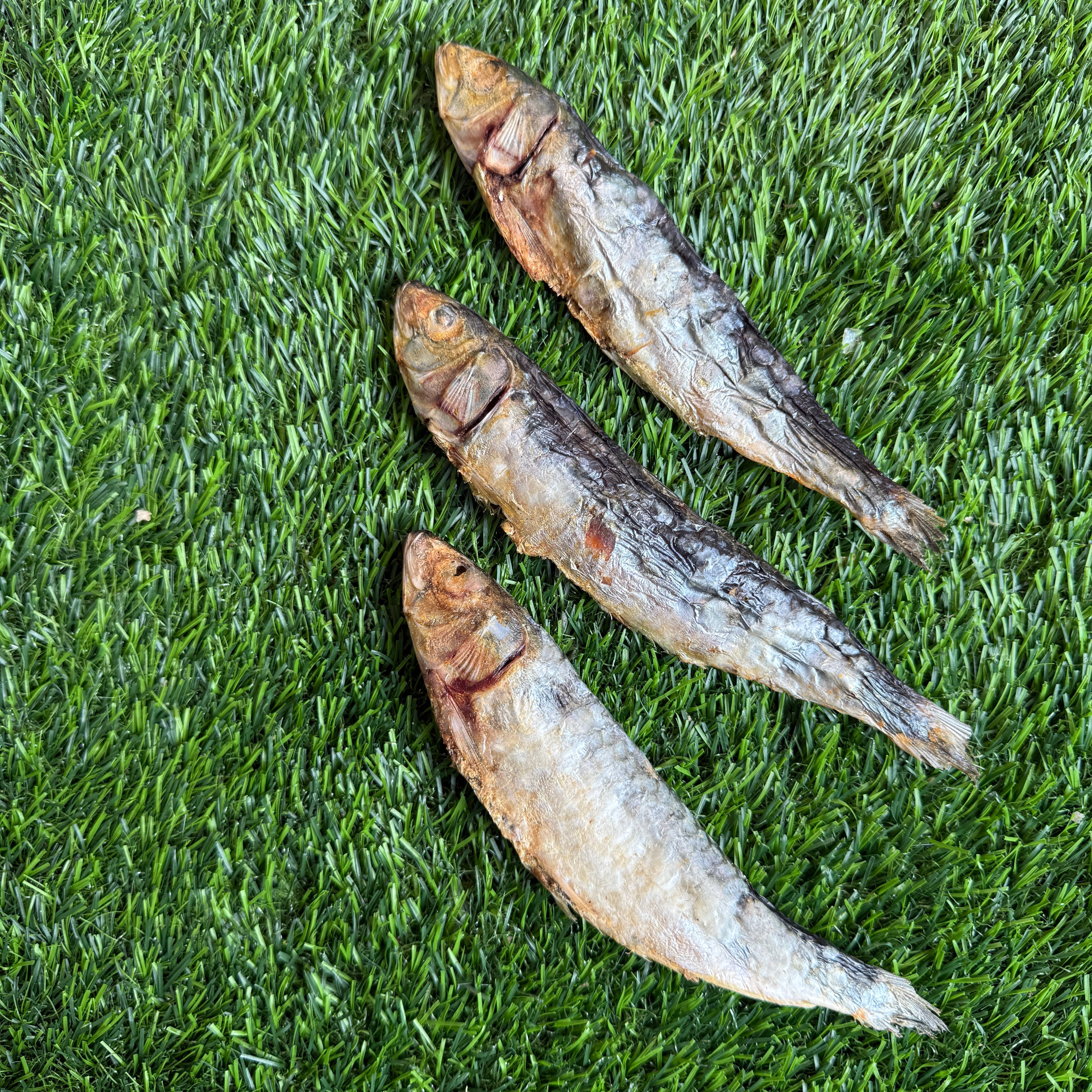 Golden Nibbles - Wholesale Pet Treats - Dog - Sardines - 5" to 7" in & Freeze-Dried Treat for Dogs & Cats2