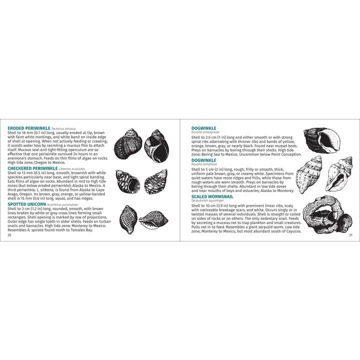 AdventureKEEN - Wholesale Nature & Outdoors - Pacific Intertidal Life 2nd Edition6