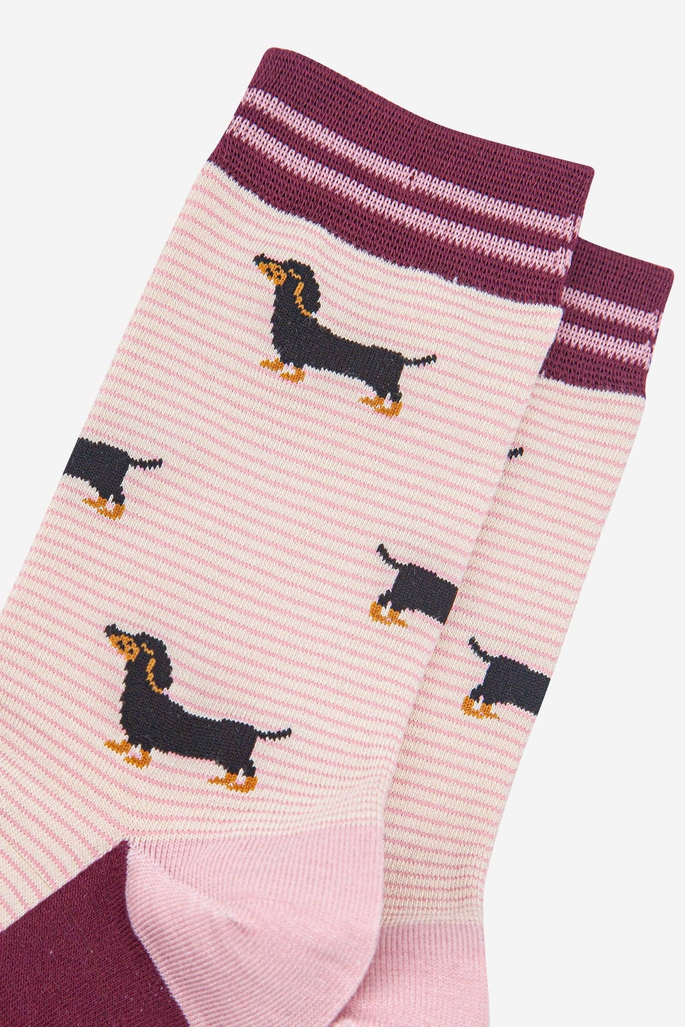 Sock Talk - Wholesale Socks - Women's - Women's Bamboo Socks - Cream/Berry, Sausage Dog Stripes2