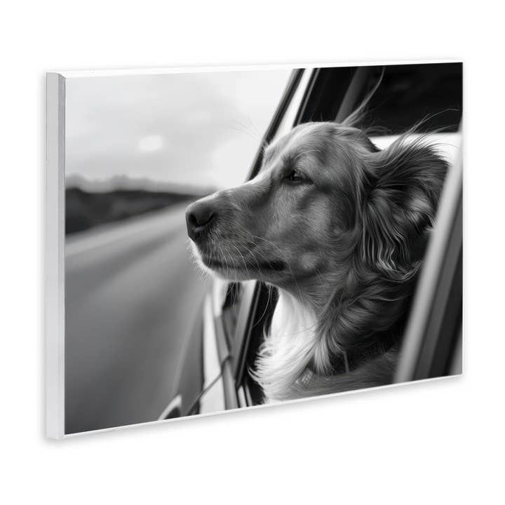 Stupell Industries - Wholesale Wall Sign - Dog Out Car Window - Unframed Wall Art3