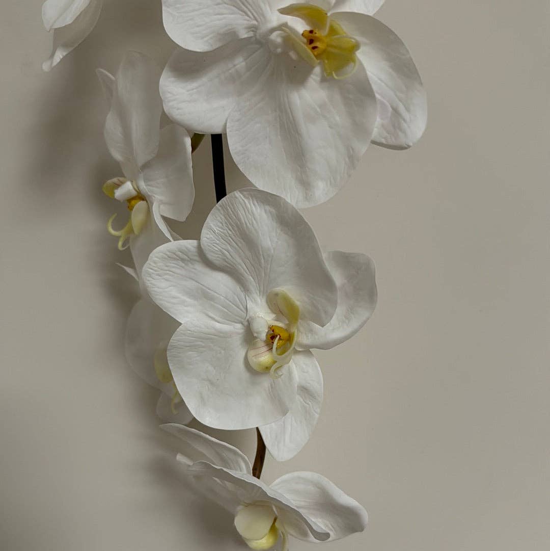 JKF & Co Pty Ltd - Wholesale Kunstbloemen - Real Touch witte Phalaenopsis orchidee tak met 8 bloemen2