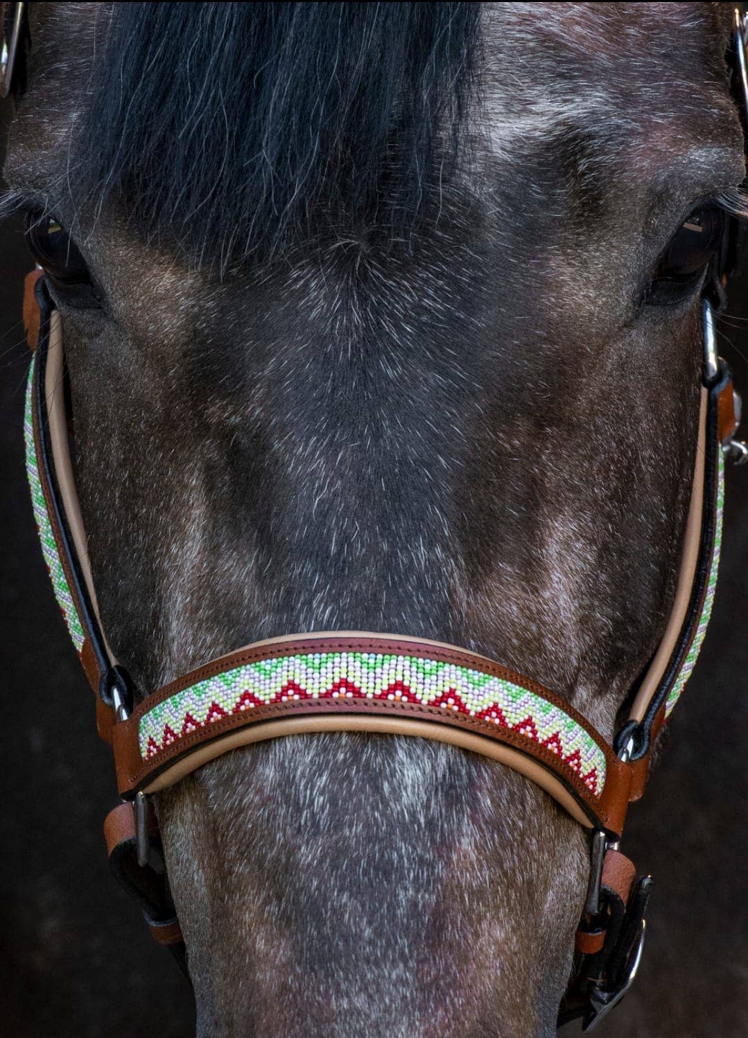 kay-line - Wholesale Horseback Riding Gear - HORSE Halter - Leather WHITE PULSE - brown1