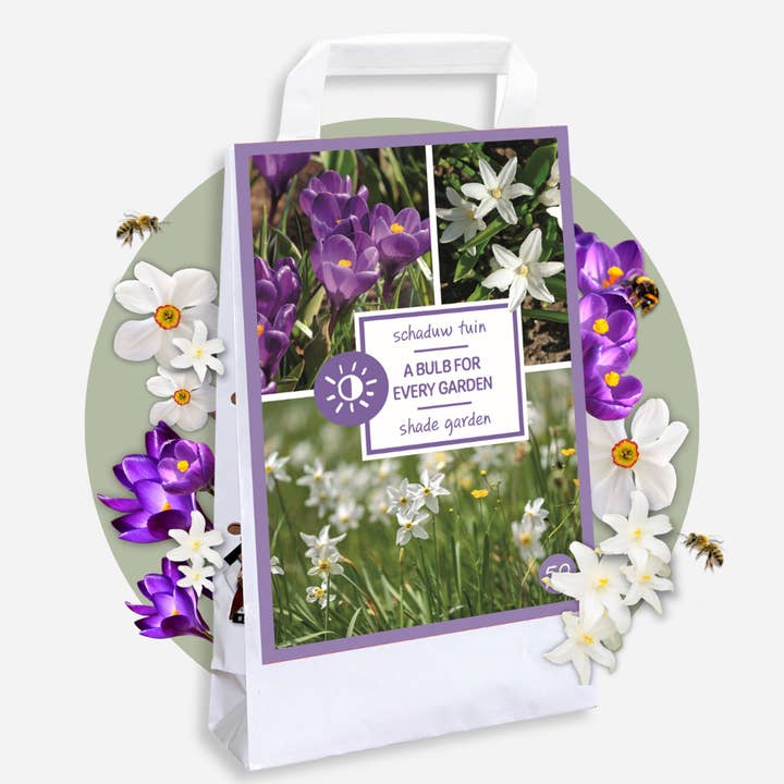 Oasis of Life - Wholesale Plant seeds - Shade Garden Box – 50 Bulbs for Shade & Partial Shade – Mix of Chionodoxa Luciliae Alba, Crocus Ruby Giant & Narcissus Recurvus – Hardy, Perennial & Easy to Care for – For Shady Garden Areas4