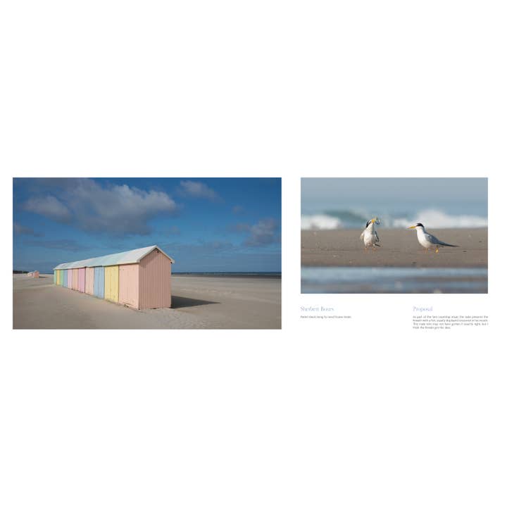 Schiffer Publishing - Wholesale Book - Adult - Beaches: Celebrating Stones, Sand, and Surf