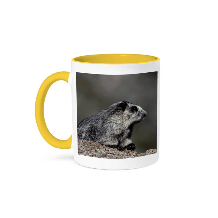 3dRose - Wholesale Coffee Mug - 3dRose, USA, Alaska, Marmot wildlife, Denali National Park - US02 GRE0083 - Gerry Reynolds, Mug