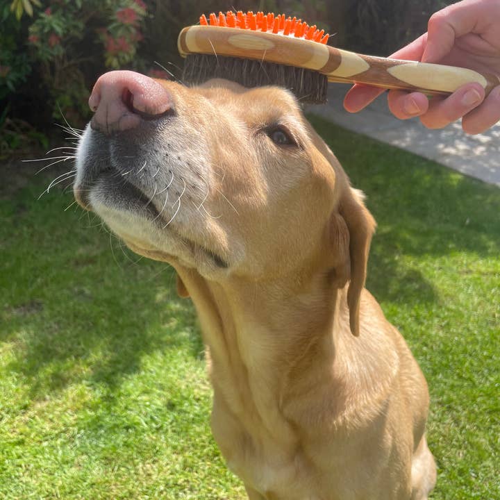 OurPetsLife - Wholesale Pet Brush - Cat/Dog - Bamboo Dog Brush