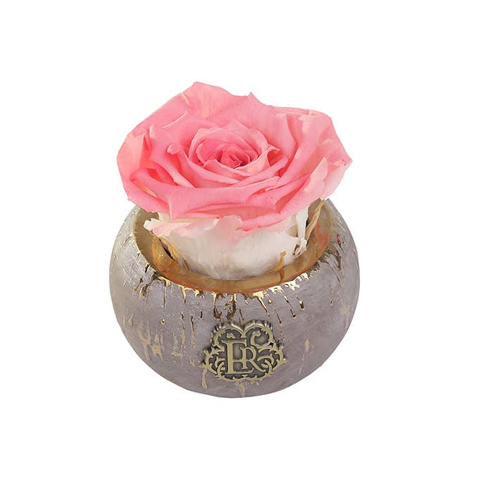 Eternal Roses® - Wholesale Artificial Flowers - Mini Tiffany Eternal Luxury Rose24