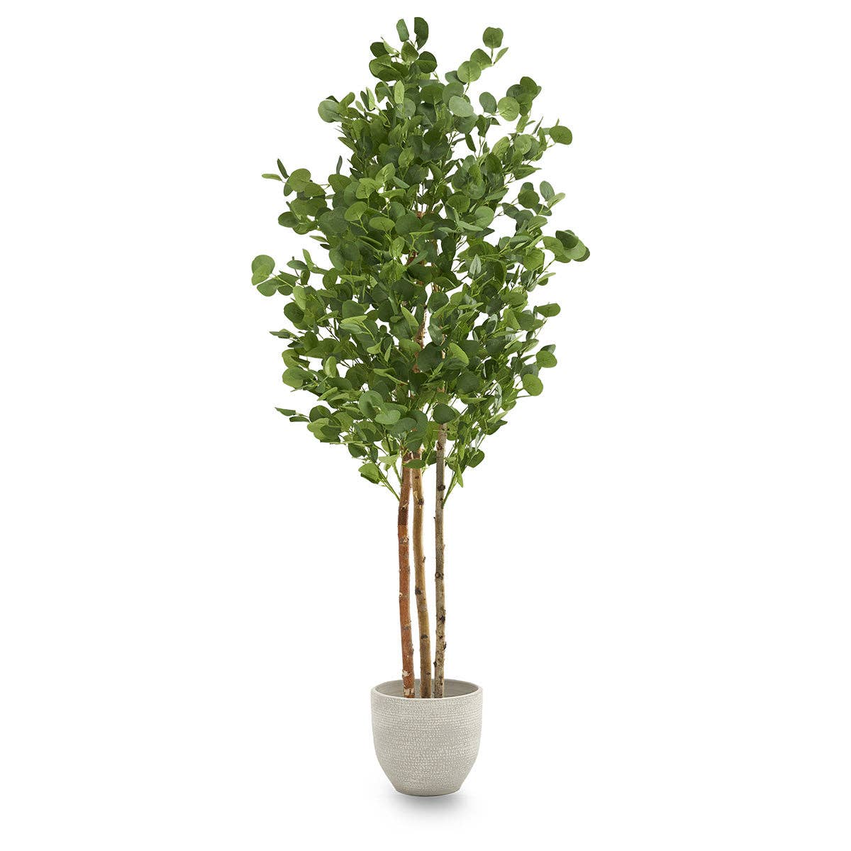 Maia Shop: No Duties for the US - Vente Plantes artificielles - Arbre d'eucalyptus artificiel de 1,80 m1