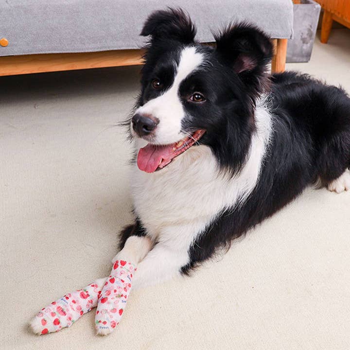 PAWPAWwholesale - Wholesale Pet Paw Protection - Pet Paw Wrap Bandage for Dogs, Self-Adhesive_CWMM613010