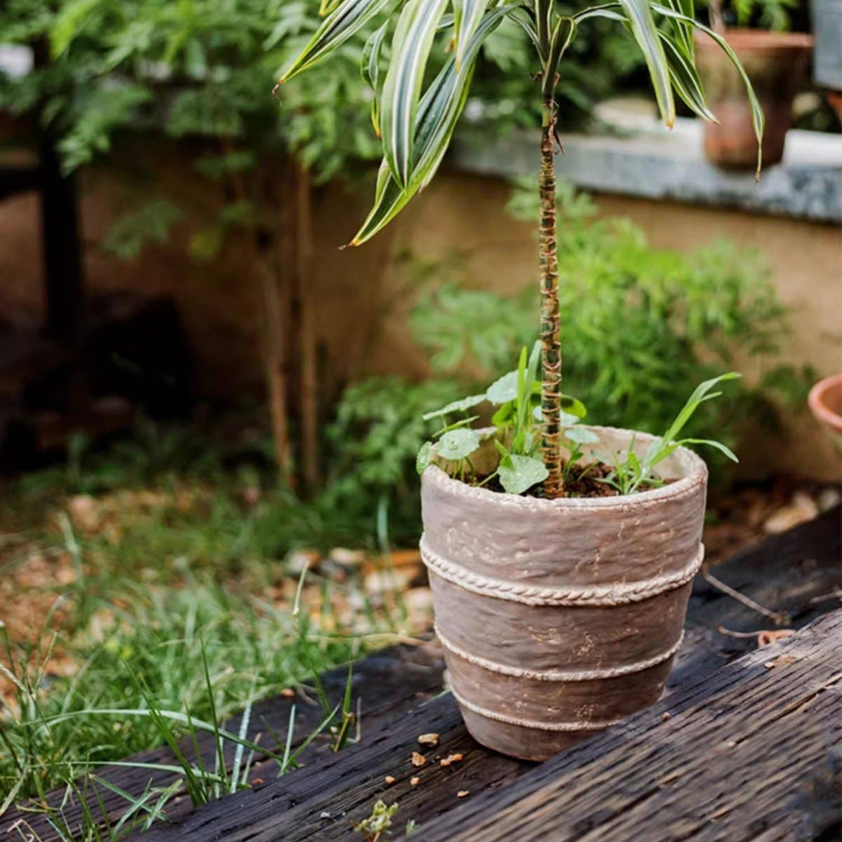 Rustic Reach - Vente Pot - Jardinière en terre cuite rouge Tasha2