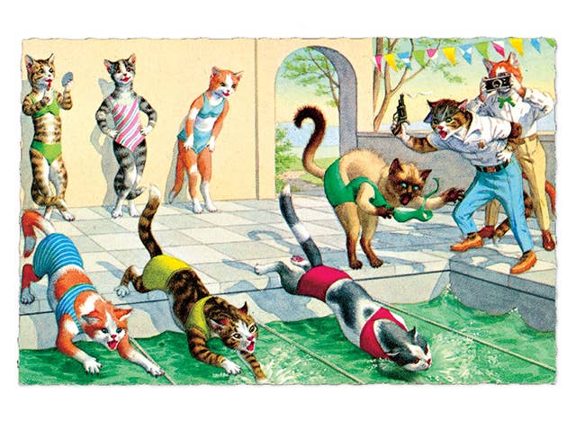 Laughing Elephant - Wholesale Postcard - Delightfully Dressed Cats - Everyday Boxed Postcards28