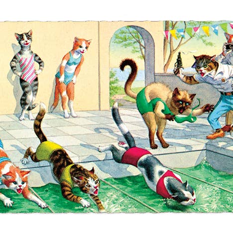 Laughing Elephant - Wholesale Postcard - Delightfully Dressed Cats - Everyday Boxed Postcards28