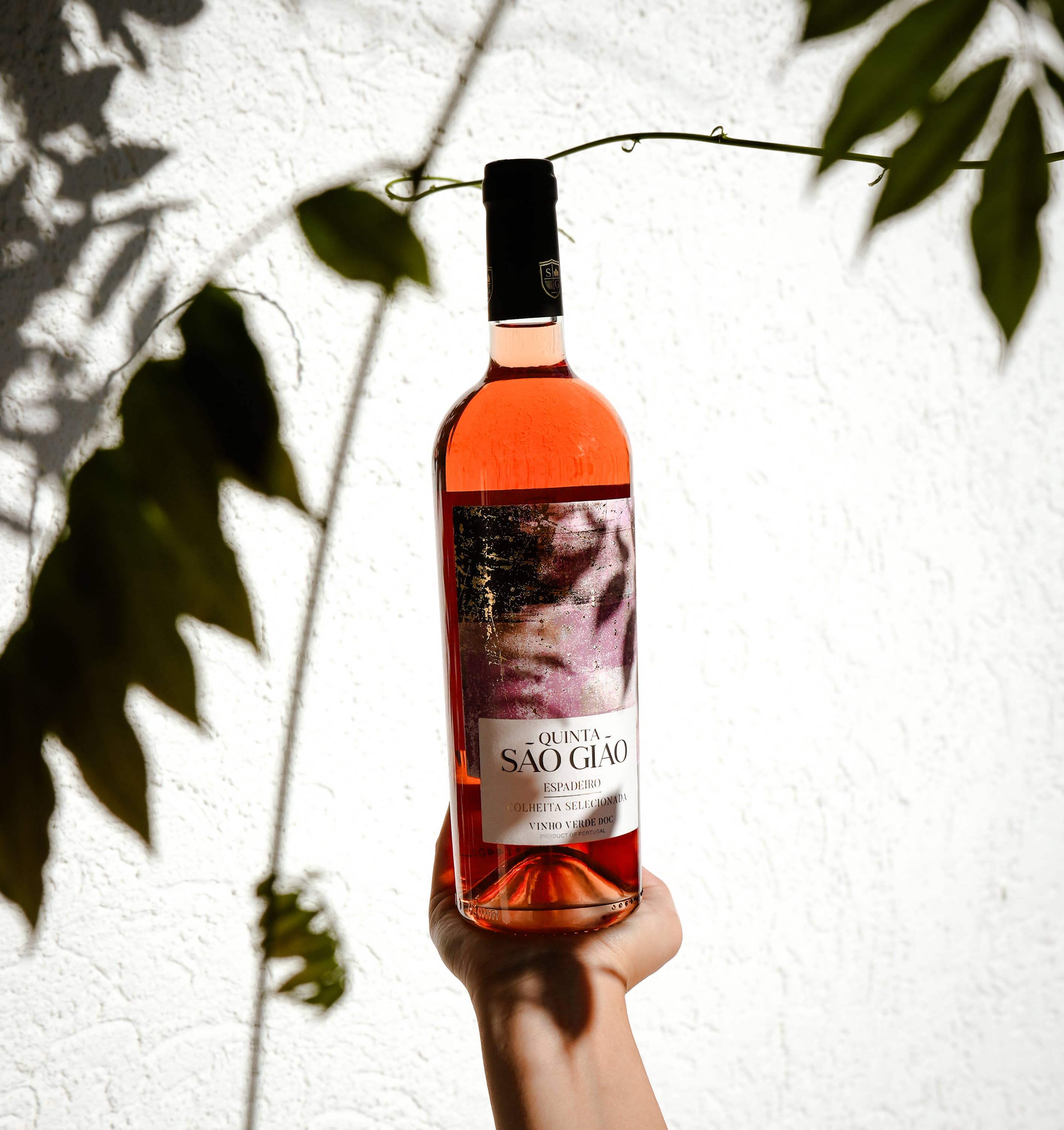 Machado GmbH - Wholesale Rose Wine - Quinta São Giao Vinho Verde Rose1