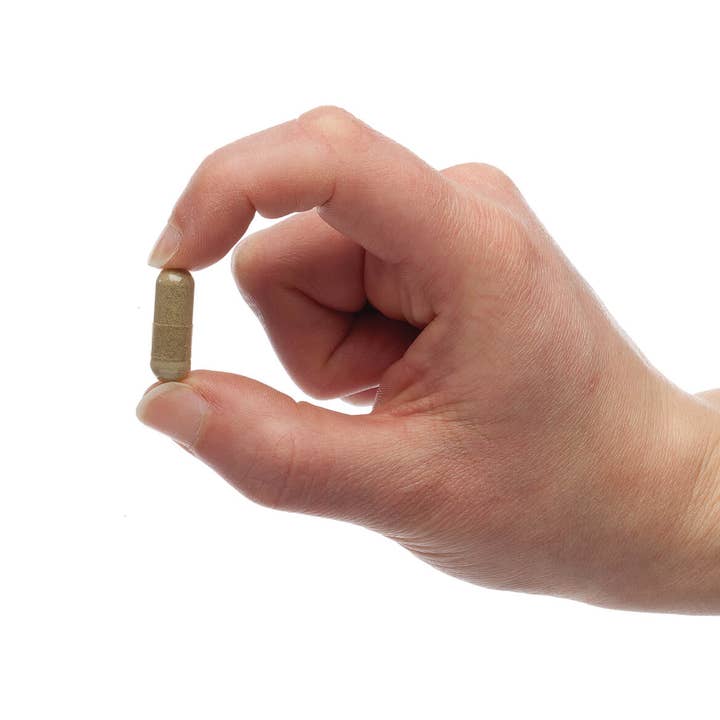 Pet Alive - Wholesale Pet Supplement - Cat/Dog - PetAlive® Pancreas Booster™3