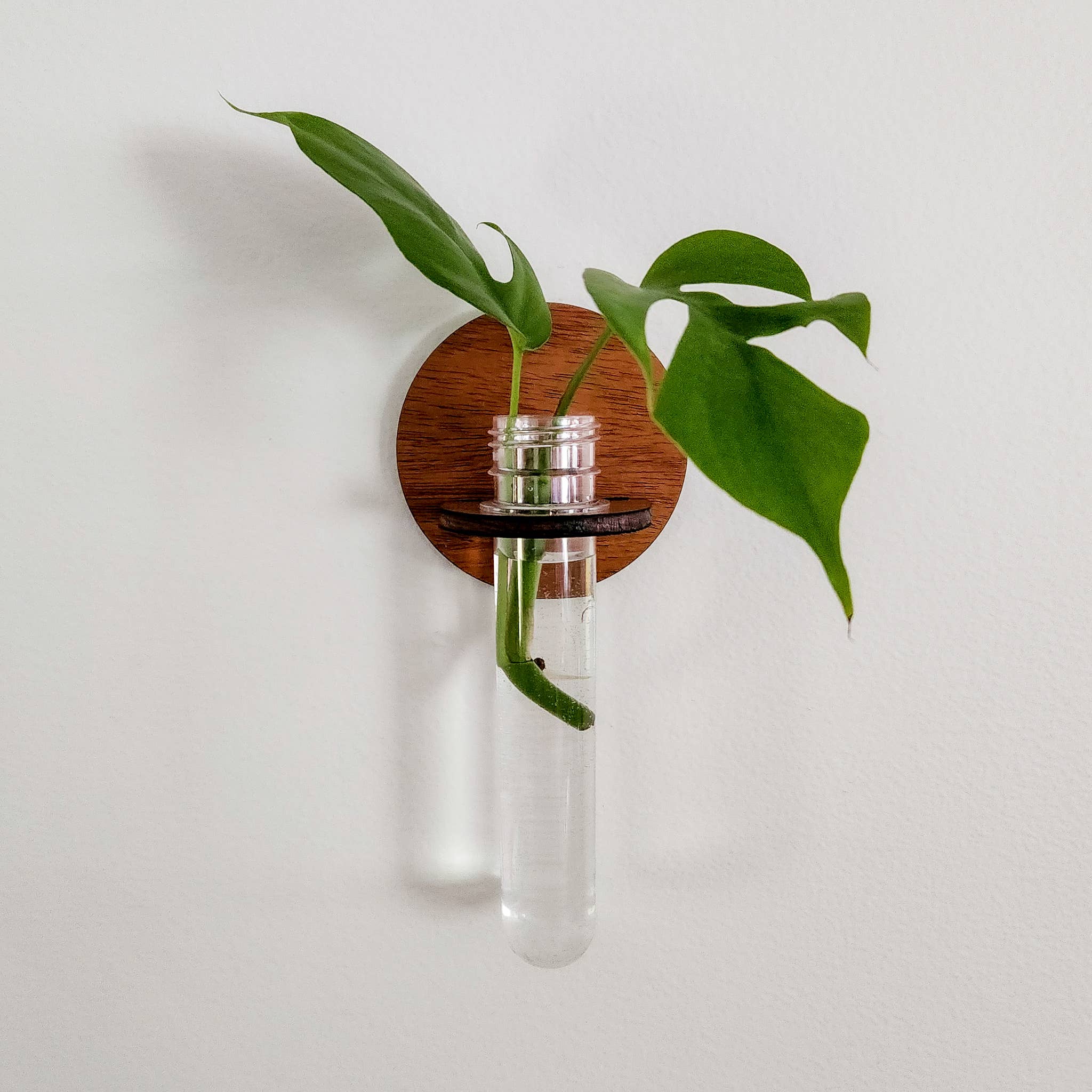 Leaf & Node - Wholesale Hanging Planter - Wall Hanging Propagation Station - Round Test Tube Holder7