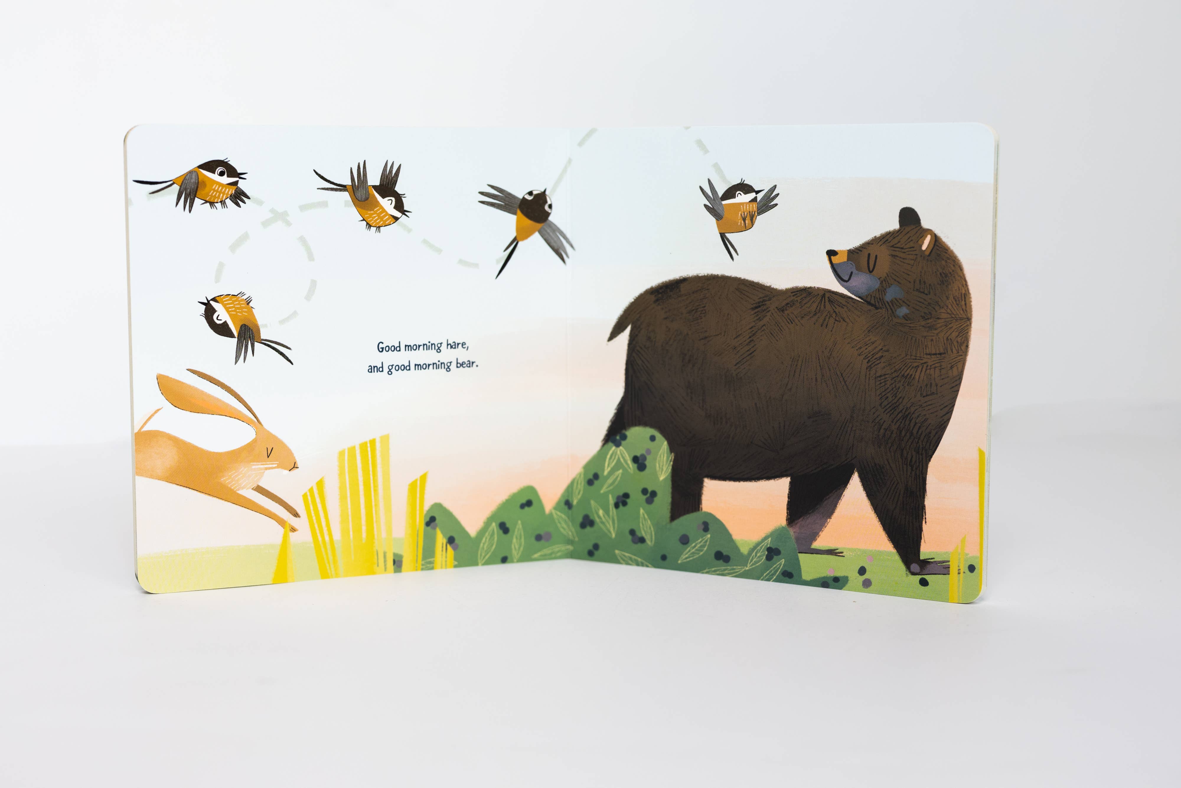 AdventureKEEN - Wholesale Preschool Book (3-5) - Good Morning, Mother Nature (Board Book)2