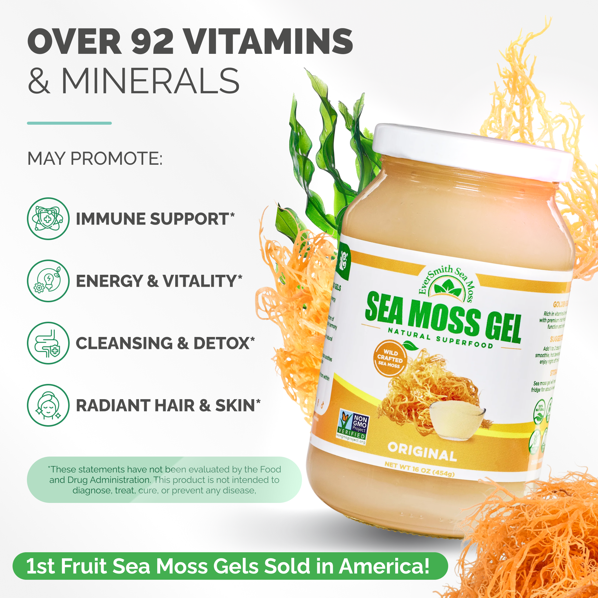 EverSmith Organics – Engroshandel Kosttilskud og vitaminer – Golden Sea Moss Gel – Vildhøstet (454 g)1