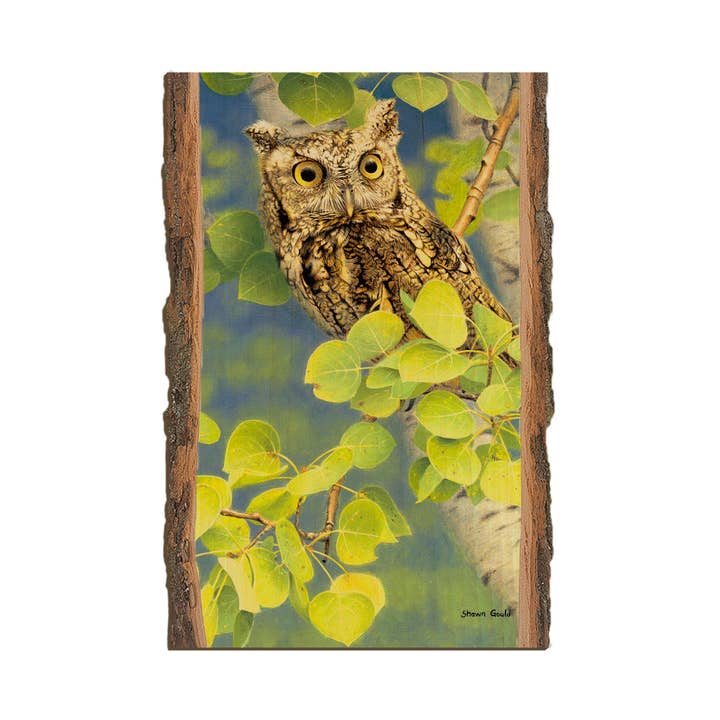 Gould's Summer Screech - Live Edge for wholesale by DaydreamHQ