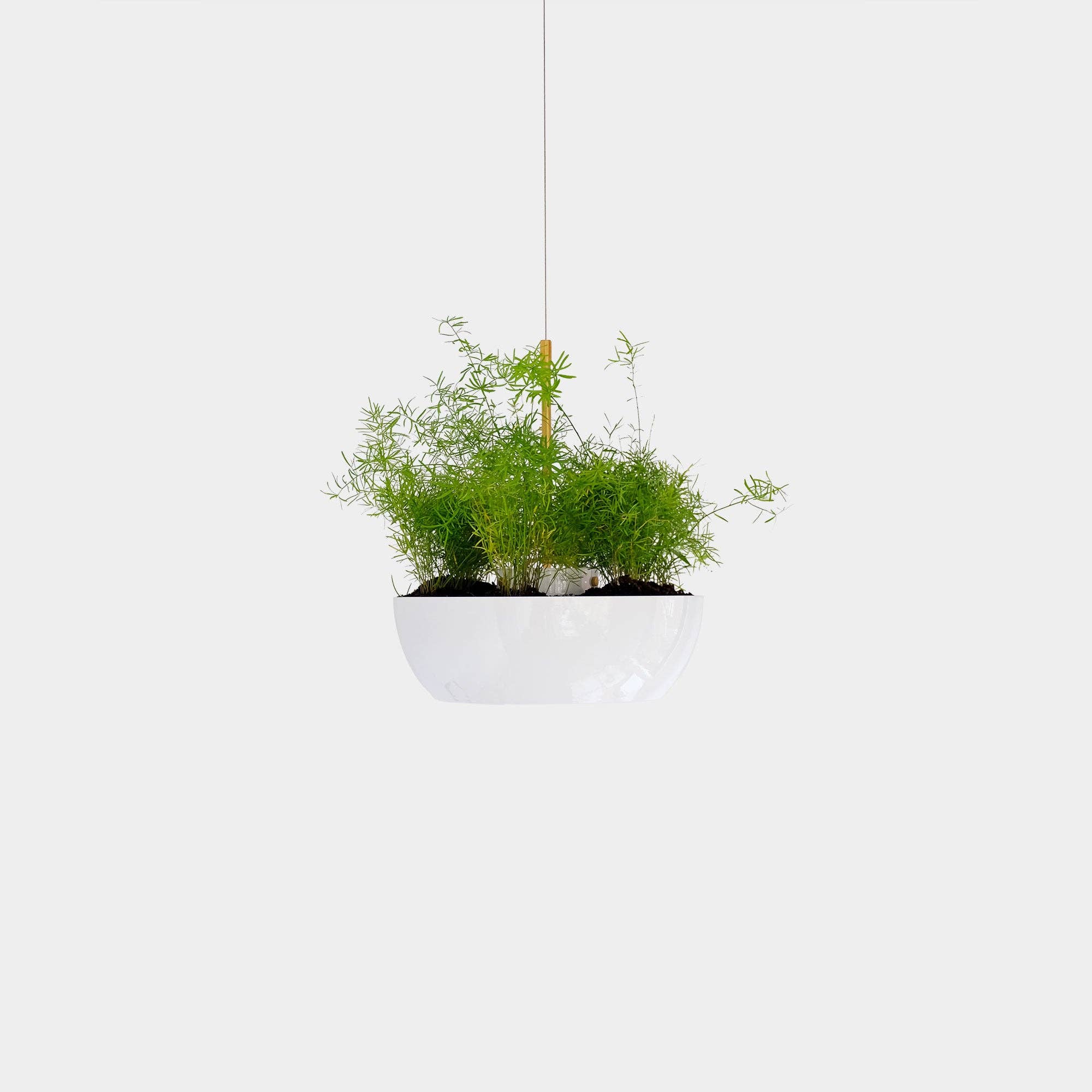 Object/Interface - Wholesale Hanging Planter - Well Planter3