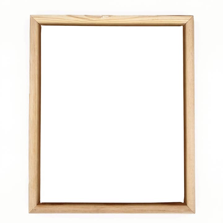 Nobel Arts - Wholesale Picture Frame - Standard Canvas + Floating Frame2