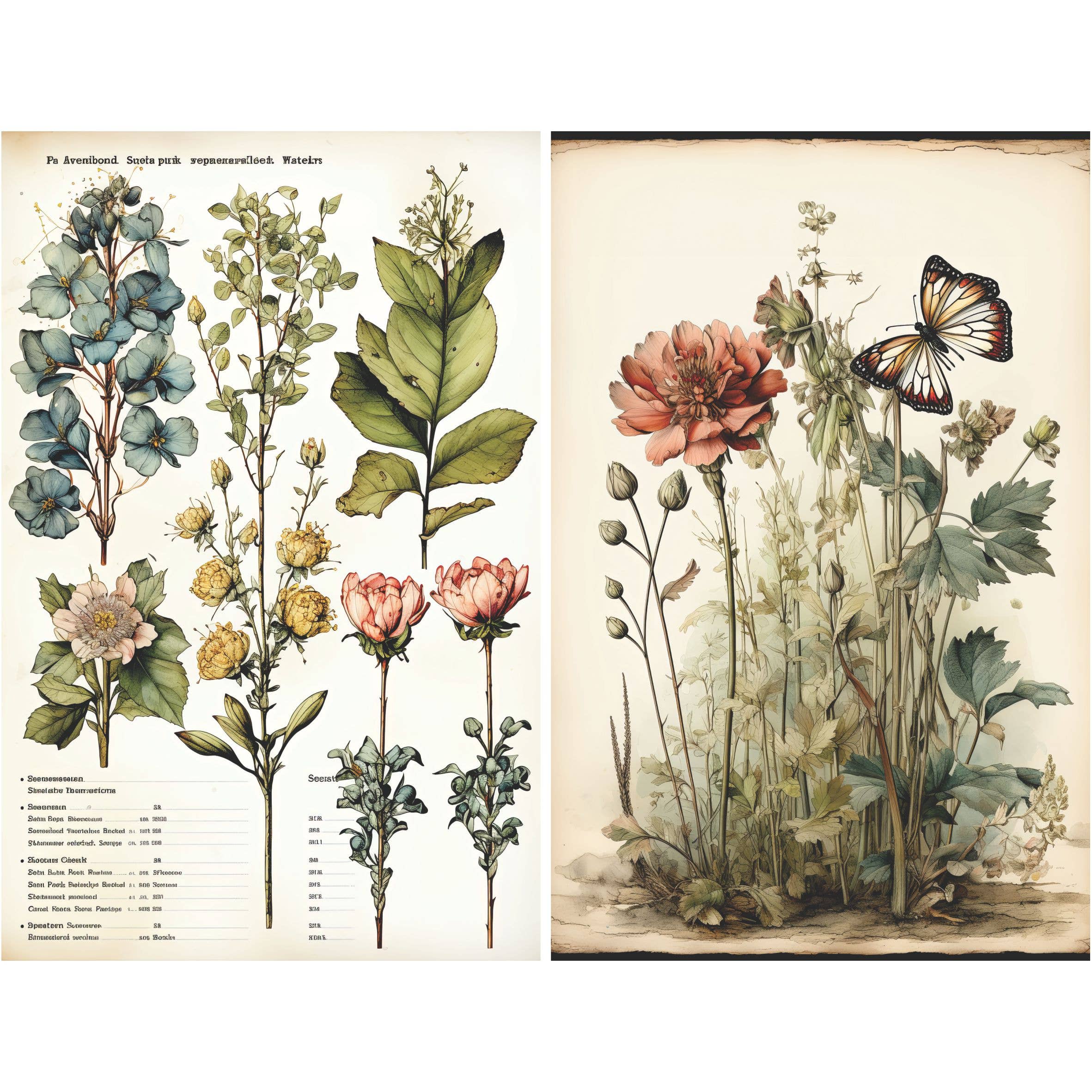 Craft Kreatively - Vente Matériels de bricolage - Papier de riz découpé botanique A4 - 6 feuilles – Loisirs Créatifs6