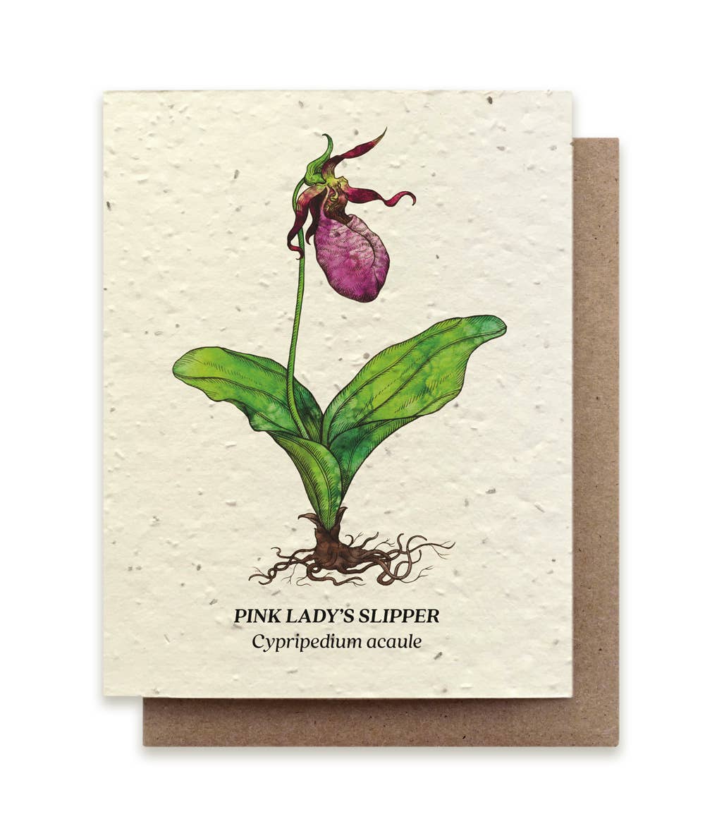Small Victories - Wholesale Everyday Greeting Card - Lady's Slipper Plantable Wildflower Seed Card0