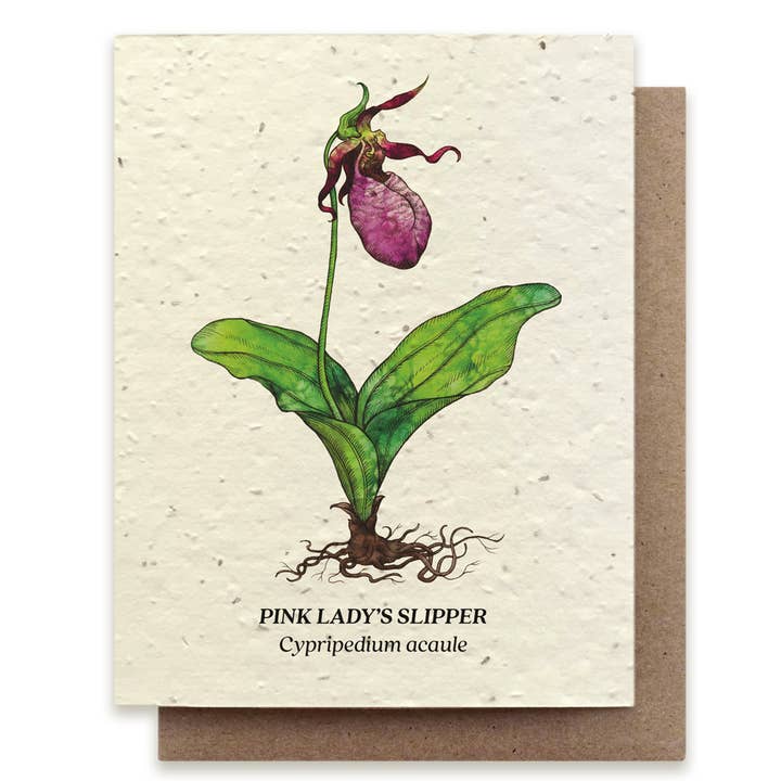 Small Victories - Wholesale Everyday Greeting Card - Lady's Slipper Plantable Wildflower Seed Card