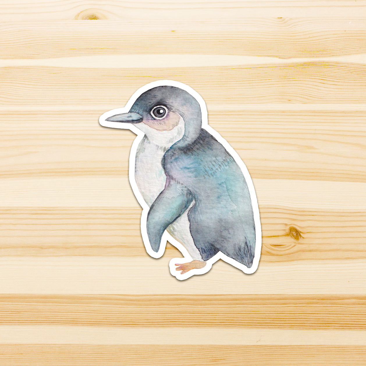 Watercolour By Cat - Vendita all'ingrosso Adesivo - Adesivo in vinile con grande uccello australiano15