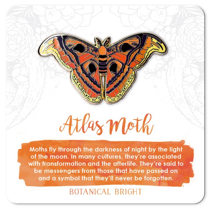 Broche émaillée Atlas Moth pour la vente par Botanical Bright