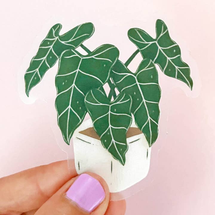 Alocasia Frydek Clear Sticker for wholesale by Occasionalish
