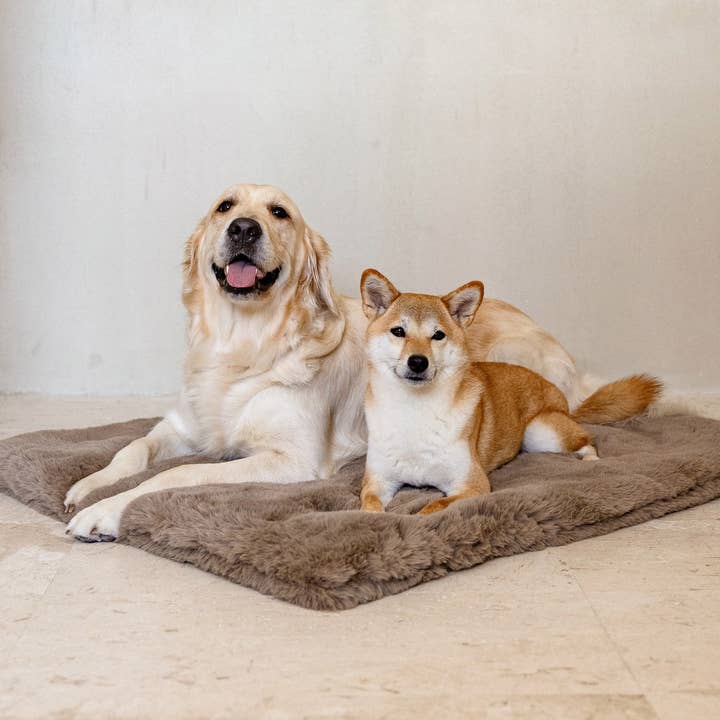 The Lola Pet Pad | Desert Dune for wholesale by Lola Blankets