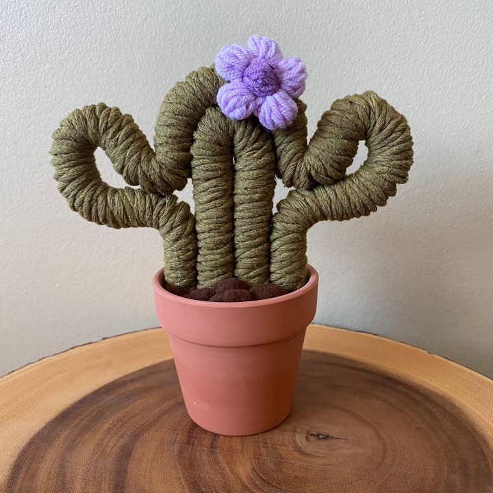ForgetBKnot - Vente Plantes artificielles - Plante Éternelle Cactus en Macramé (Moyen & Petit)