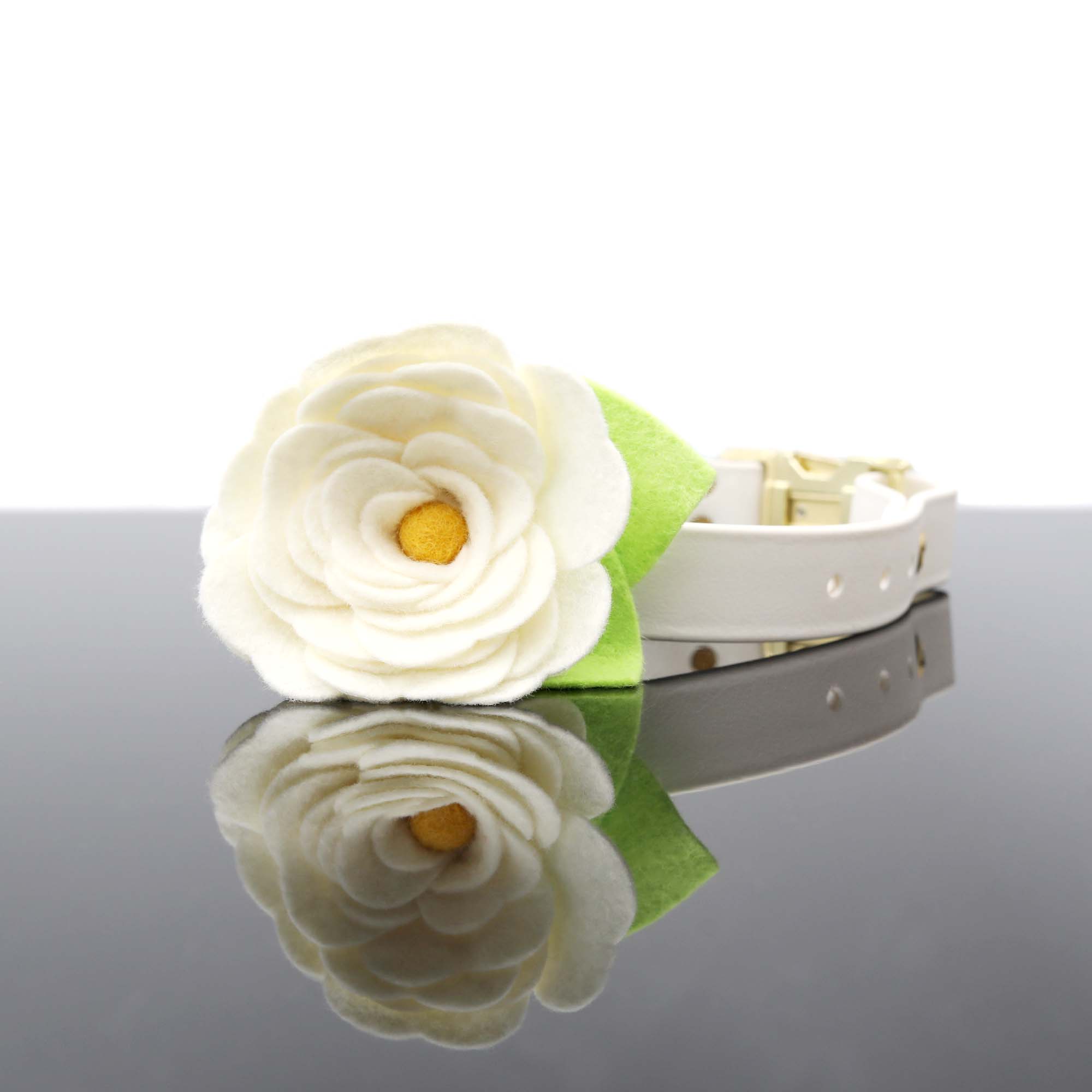 Mimi Green - Vendita all'ingrosso Collare - Cani - Collare per cani Magnolia bianco crema con fiore0