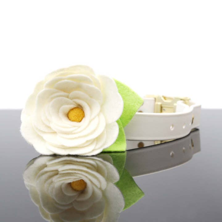 Mimi Green - Vendita all'ingrosso Collare - Cani - Collare per cani Magnolia bianco crema con fiore0