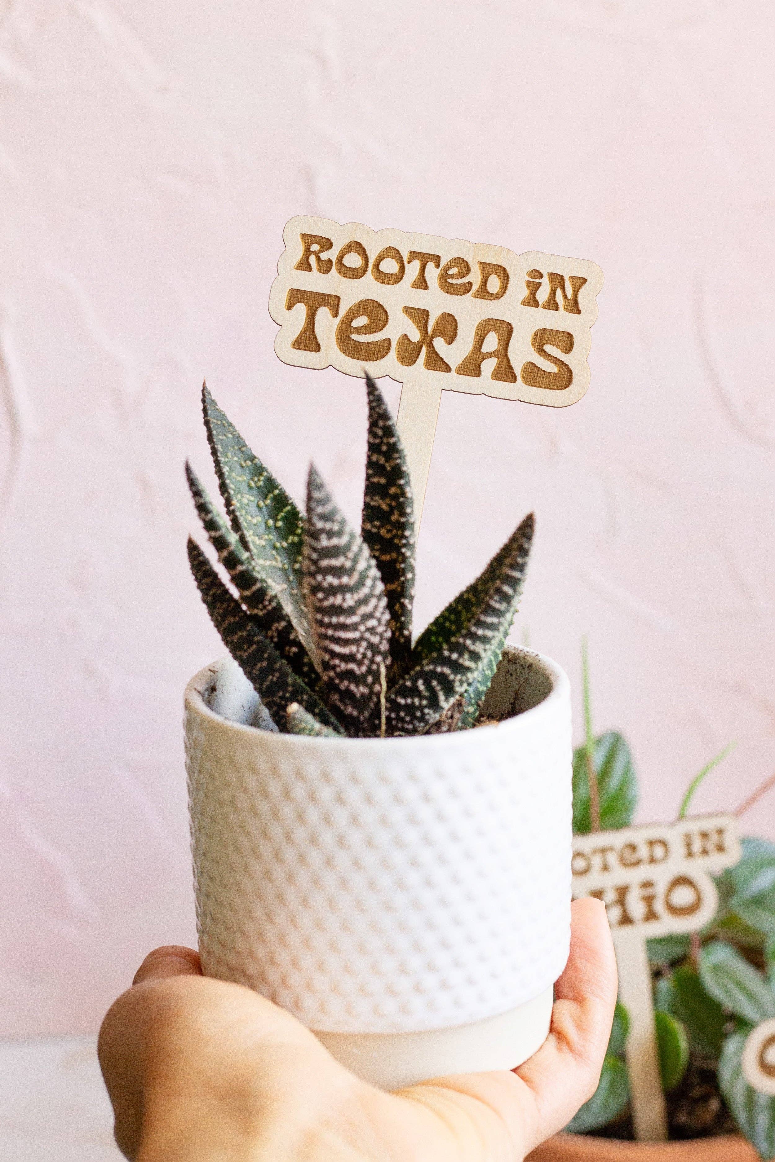 The Print Pantry - Vente Piquets de jardin/pelouse - Piquets pour plantes Retro State Name2