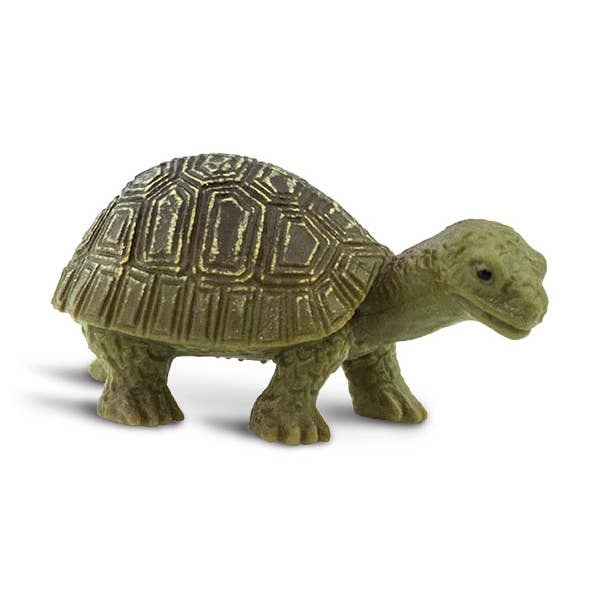 Tortoises - Good Luck Minis® - 100173 for wholesale by Safari Ltd.