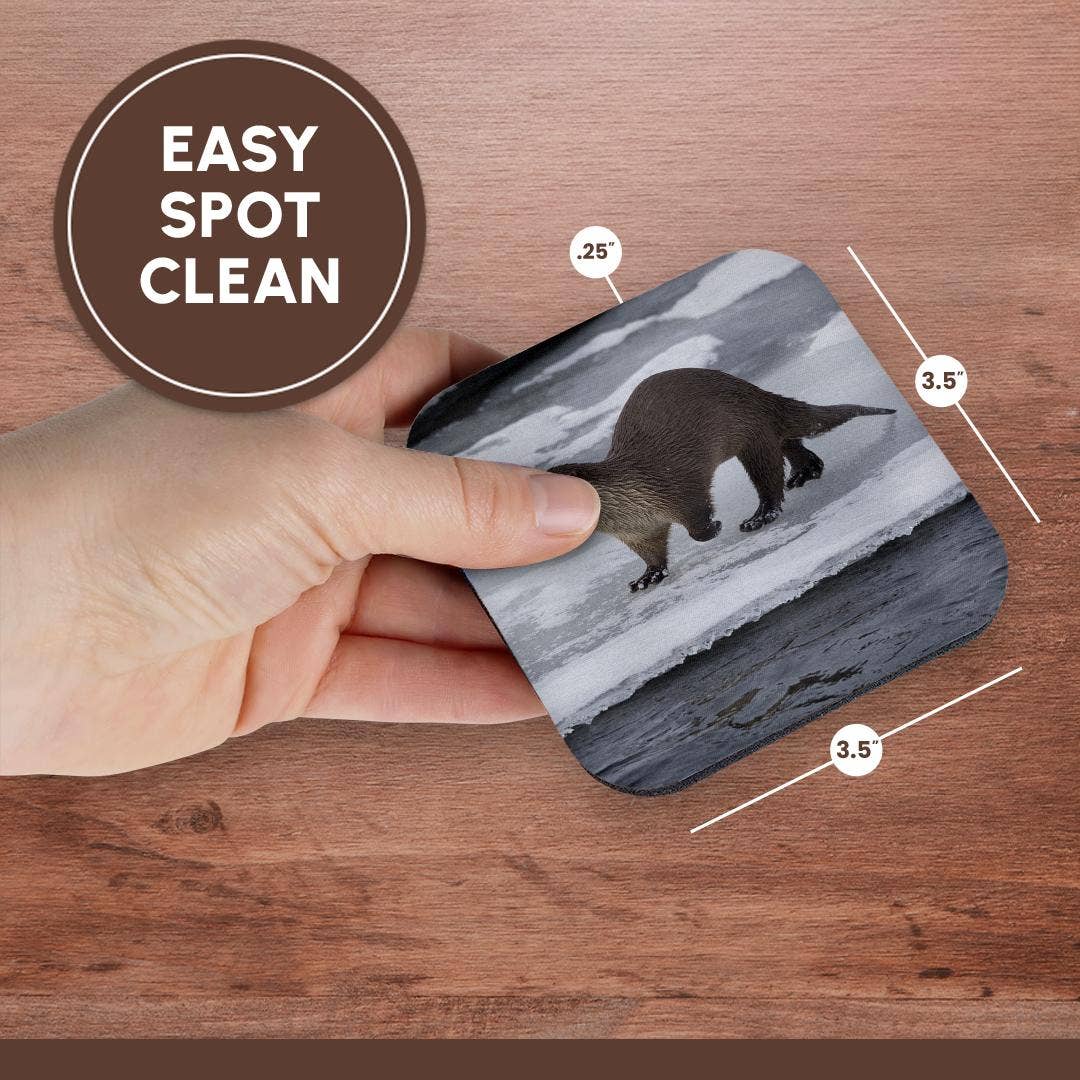 3dRose - Wholesale Coasters - 3dRose, River otter on ice, Coaster13