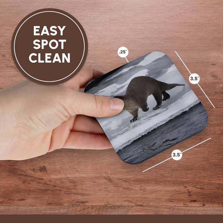 3dRose - Wholesale Coasters - 3dRose, River otter on ice, Coaster13