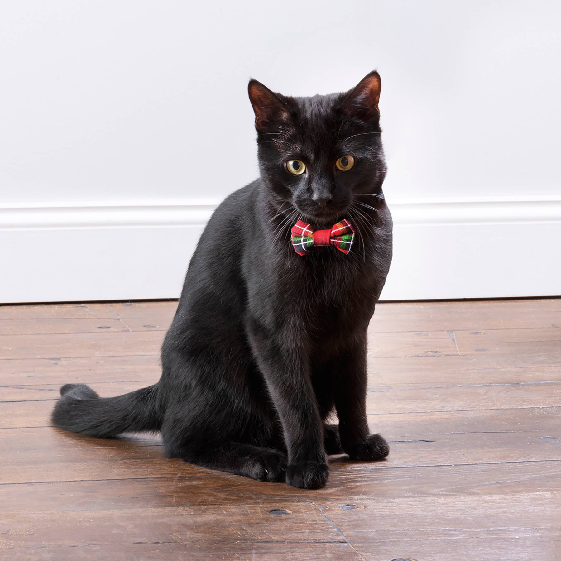 Primitives by Kathy - Wholesale Pet Bow Tie - Cat/Dog - Christmas Plaid Small Pet Bow Tie Set2