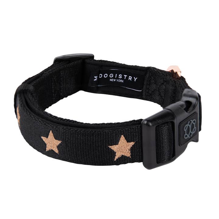 City Collar - Rockstar for wholesale by DOGISTRY™