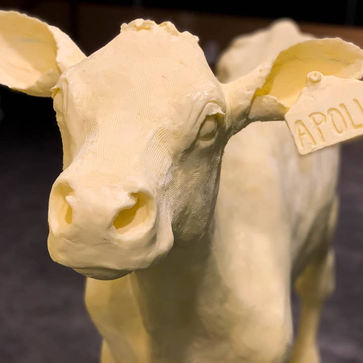 Dye Mad Yarns – wholesale Yarn – Butter Cow