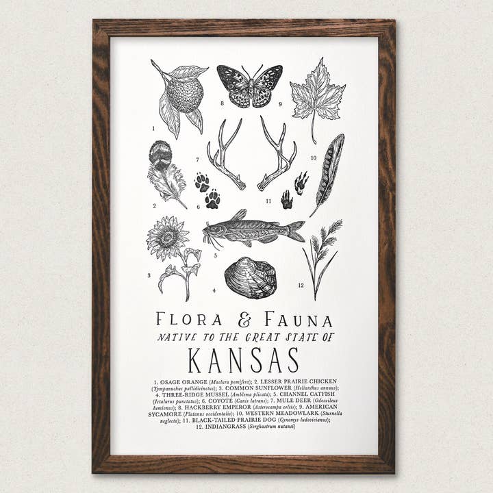 Kansas Field Guide Art Print for wholesale by The Wild Wander