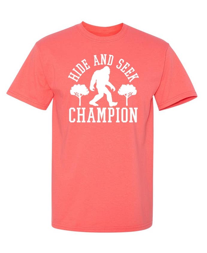 Feelin Good Tees - Wholesale Screen Printed T-Shirt - Unisex - Bigfoot - Hide And Seek Champion10